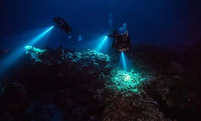 A group of people diving during the night. 