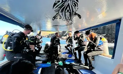 Divers getting equipped before an immersion.