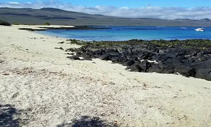 El Manglesito beach.