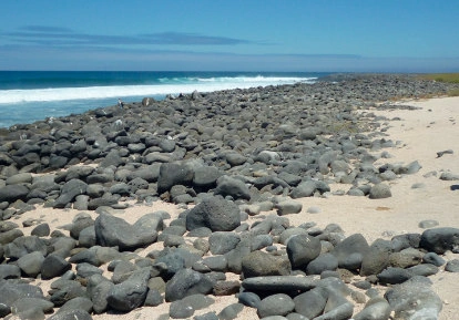 North Seymour Galapagos.