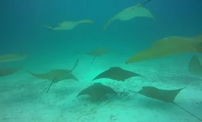 Golden stripes on Mosquera islet.